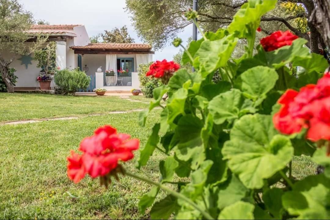 Il Falco Casa Vacanze - Cugnana - Porto Rotondo Exterior foto